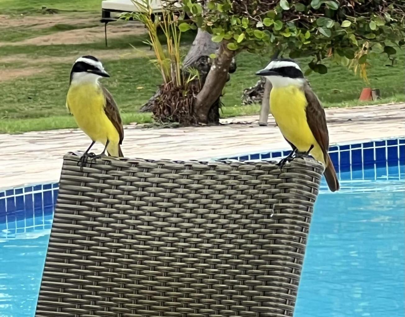 Anga Beach Hotel São Miguel dos Milagres المظهر الخارجي الصورة