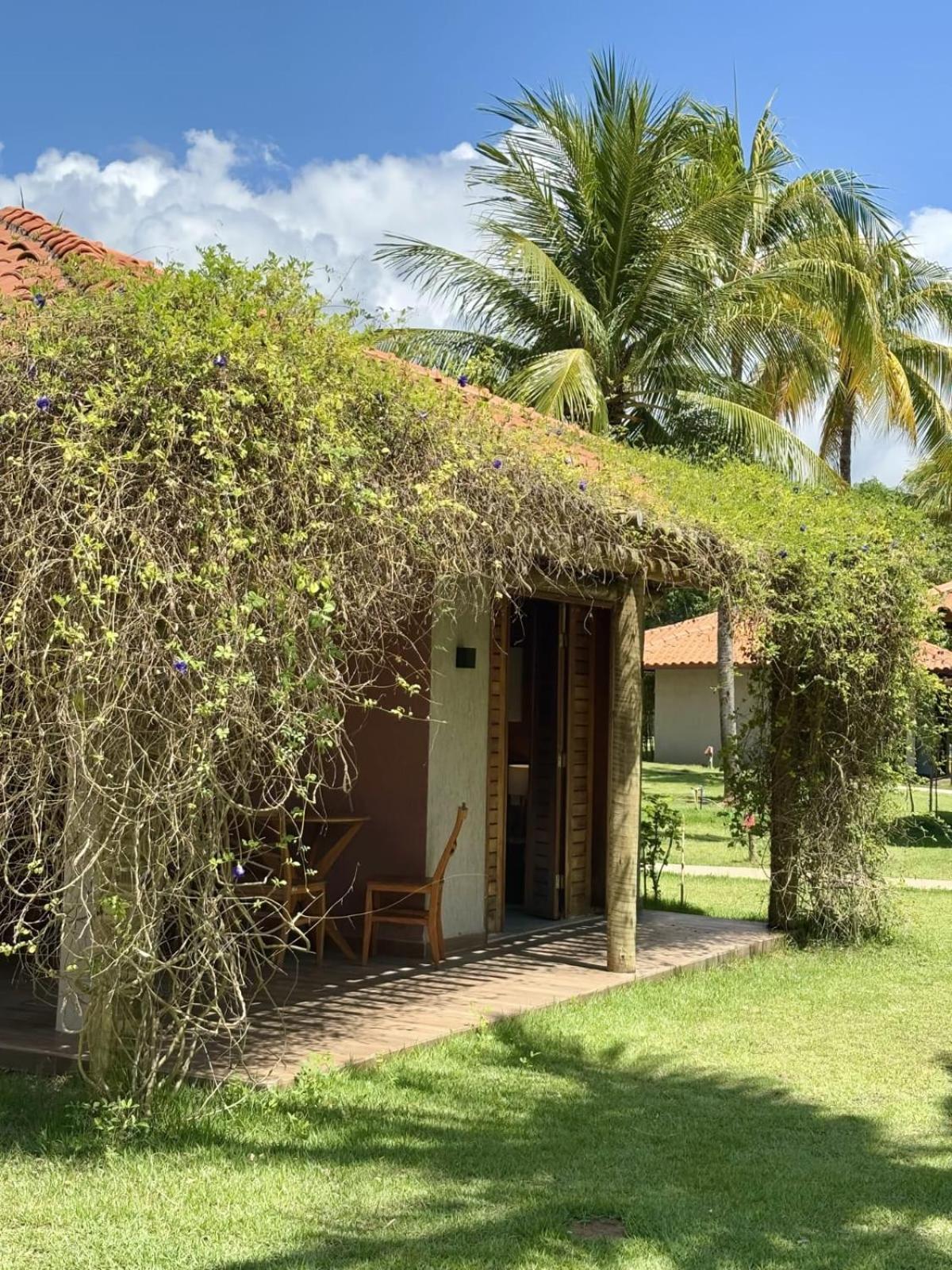 Anga Beach Hotel São Miguel dos Milagres المظهر الخارجي الصورة